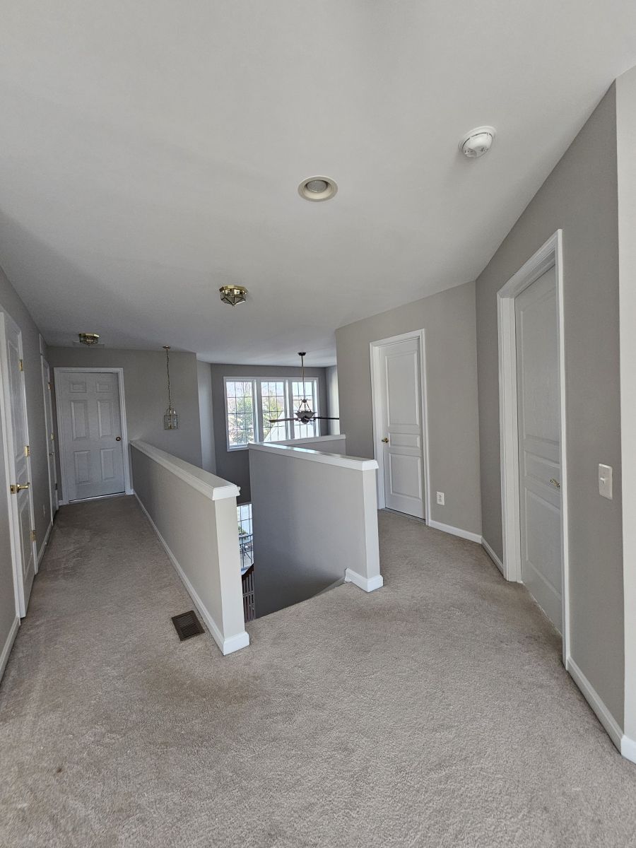 wallpaper removal in river edge nj